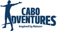 cabo adventures